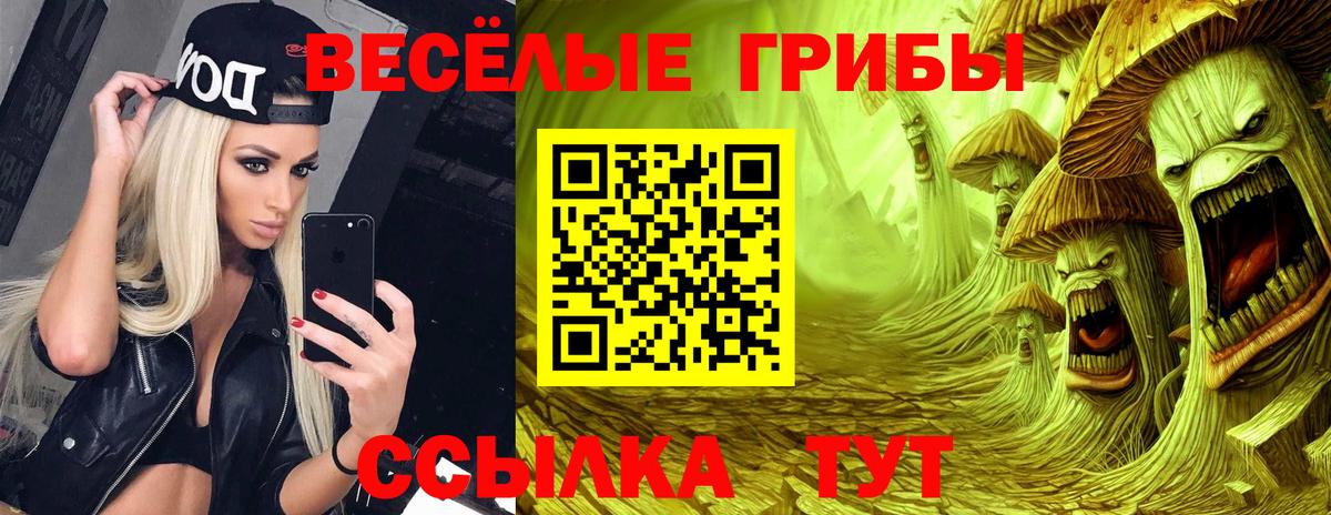 Галлюциногенные грибы Psilocybe Стерлитамак