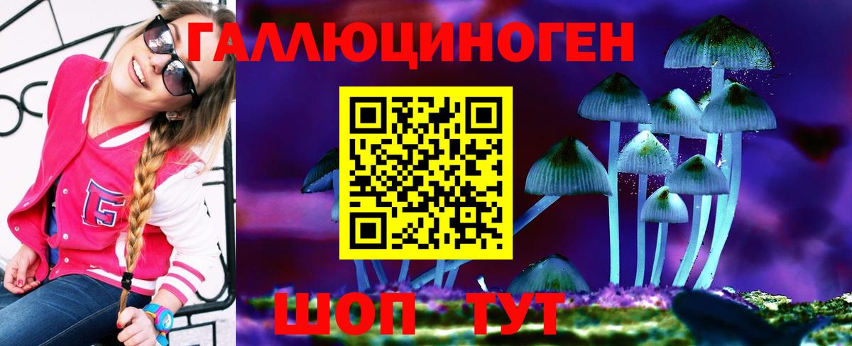 Псилоцибиновые грибы Magic Shrooms  Галлюциногенные грибы GOLDEN TEACHER  Стерлитамак  Вход с VPN 